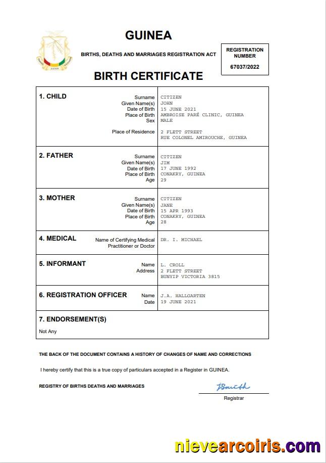Guinea vital record birth certificate